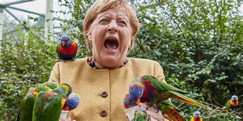 Angela Merkel Went to a Bird Park and Got Bit: Photos - Business Insider