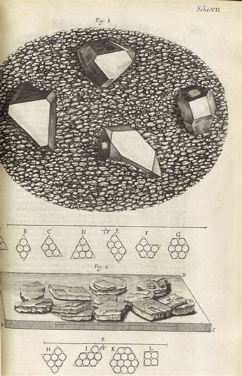 Historical Anatomies on the Web: Robert Hooke's Micrographia Home