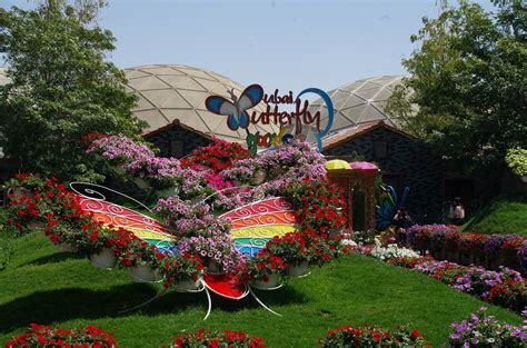 Butterfly Garden Dubai | Entrance Ticket Price