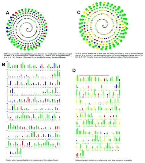 Modeled structure of HRP based on template 1PA2 and Plot ASA versus ...