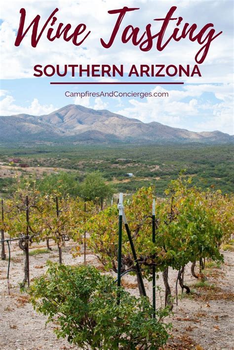 Tour Tucson Wineries in Arizona Wine Country - Campfires & Concierges | Arizona wineries ...