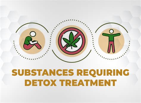 Know About Drugs and the Detox Process | Lion Recovery