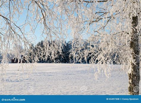 Wintry landscape stock photo. Image of color, design - 65497308