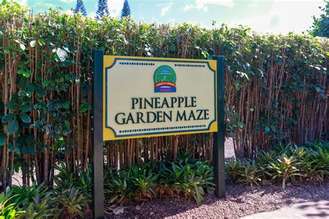 Is Dole Pineapple Plantation in Hawaii a Tourist Trap?