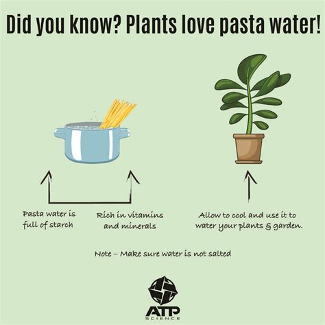 The Product Range | Plants, Pasta, Water plants