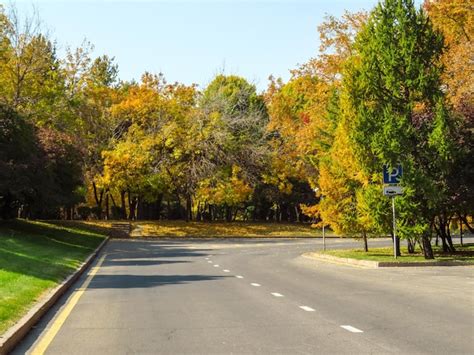 Premium Photo | Golden autumn trees along road