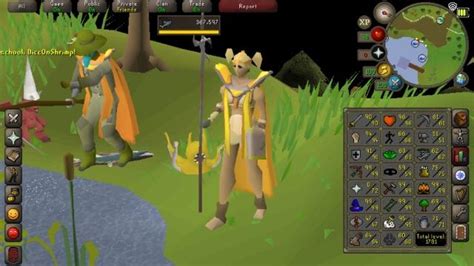 Crafting cape outfit : r/fashionscape