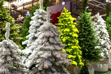 Where to Buy Christmas Trees in London — London x London