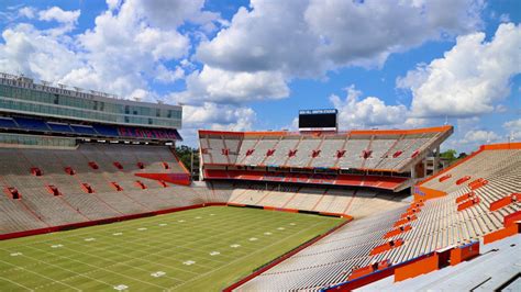 Gators announce 20 percent stadium capacity - The Independent Florida Alligator