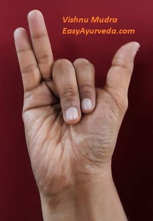 Vishnu Mudra – Meaning, Procedure, Benefits