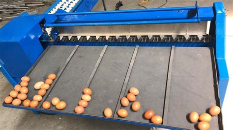 Small egg grading machine shipped to Australia -Taizy Egg Sorter Machine