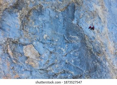 242 Wallcreeper Bird Images, Stock Photos & Vectors | Shutterstock