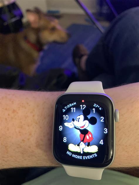 Just got the SE. loving the Mickey Mouse face : r/AppleWatch