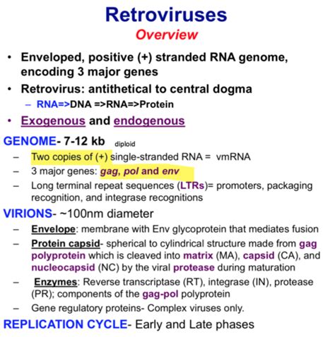 20+ Chapter 12 Dna And Rna - HussianNoran