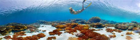 Things to do in Fiji | Activities, Tours and Attractions