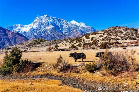 Annapurna Conservation Area