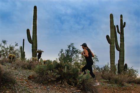 5 Best Hiking Trails in Scottsdale | Meridian CondoResorts