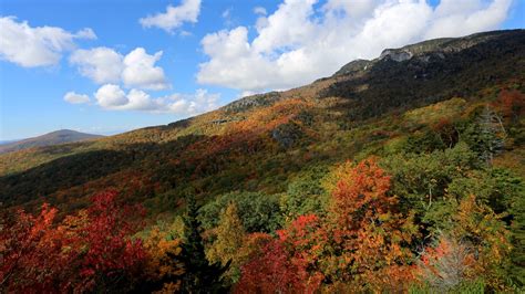 2019 Fall Foliage Map: East Tennessee will see peak foliage in early November | WJHL | Tri ...