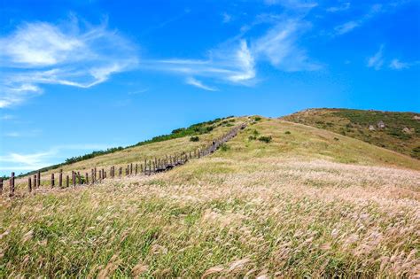 10 Best Natural Wonders in Ulsan - Take a Road Trip Through Ulsan - Go ...