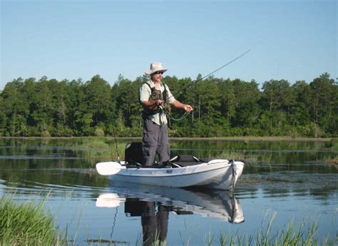 The Best Bream Lures and Equipment For Success | Great Days Outdoors