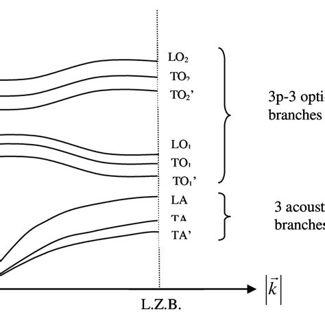 (PDF) Vibrations of lattice