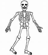 Walking Skeleton Coloring Page  Free Printable Pages sketch template