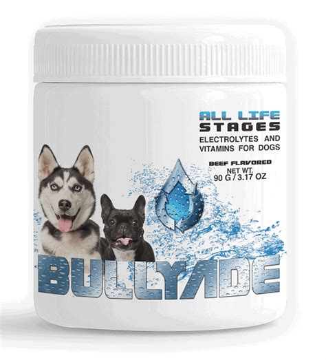 Electrolytes For Dogs