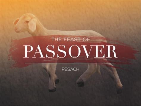 Passover: The Lord's Feast - Should Christians Celebrate Passover? What ...