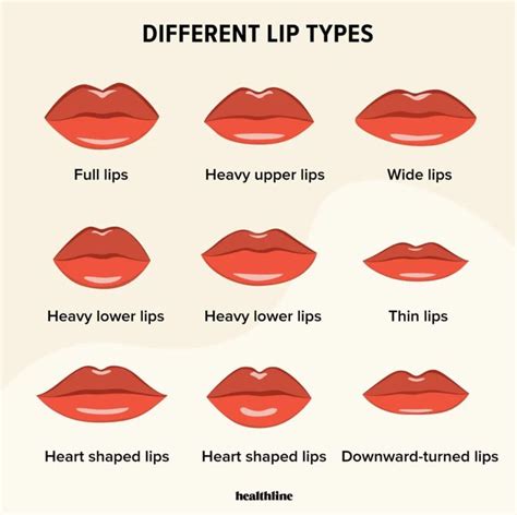 Types of Lips: Lip Care, Lip Enhancement, and Lip Facts | Lip enhancement, Lip types, Lip shapes