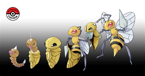 Pokemon Weedle Evolution