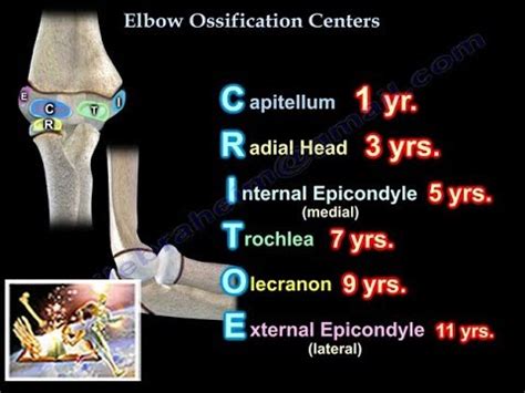 Ossification Centers Elbow