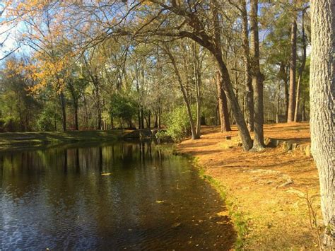 Sumter South Carolina Is Surrounded By Natural Attractions