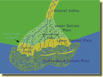 River Delta Diagram For Kids