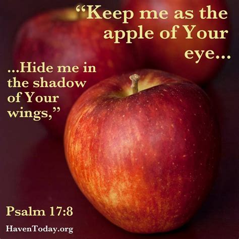 Apple of God's Eye - Scripture Verse