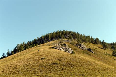 Early Morning in the Mountains of Altai Krai. Western Siberia Stock Photo - Image of ...