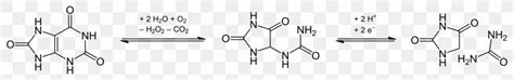 Hydantoin Condensation Reaction Heterocyclic Compound Lactam, PNG ...