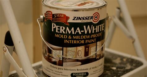 A Bluebonnet in Beantown: Review: Zinsser Perma-White Mold & Mildew-Proof Interior Paint