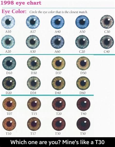 "Which One Are You? Mine's Like a T30" | 1998 Eye Chart | Know Your Meme