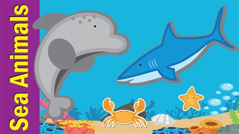 Learn Sea Animals & Water Animals for Kids | Video Flash Cards ...