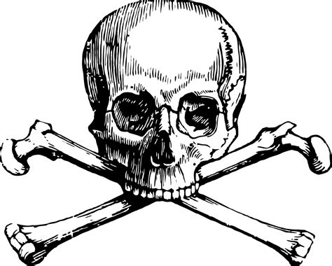 Skull And Crossbones Free Stock Photo - Public Domain Pictures
