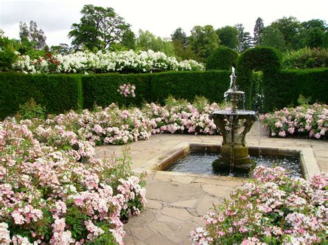 File:Hever Castle rose garden with fountain.JPG - Wikipedia