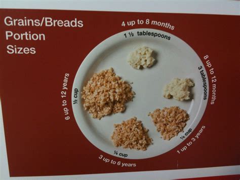 Grains portion sizes Portion Sizes, Oatmeal, Grains, Bread, Breakfast ...