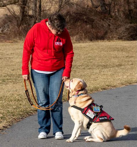 California's New Emotional Support Animals Bill - The International ...