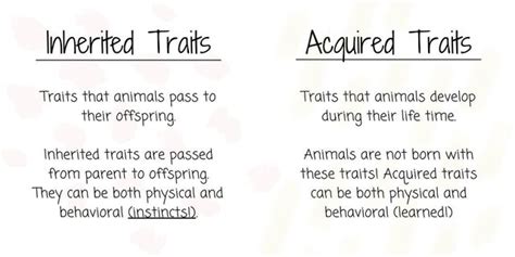 Inherited Vs Acquired Traits Worksheet