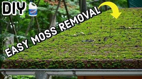 Remove Moss From Roof | DIY | 2 Methods - YouTube