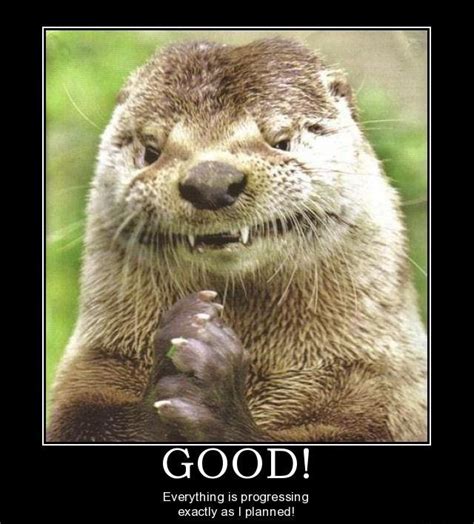 HugeDomains.com - Shop for over 300,000 Premium Domains | Otters funny ...