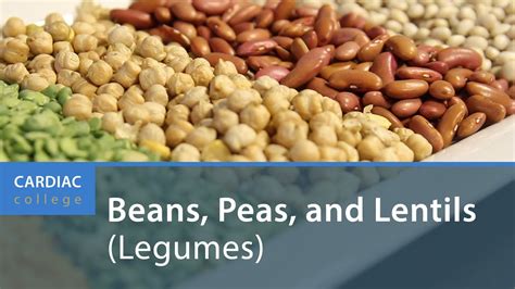 beans and lentils nutrition