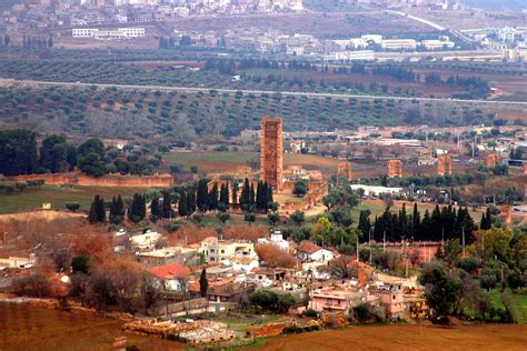 Mosque,minaret Mansourah tlemcen et dependances photo - elias filali photos at pbase.com