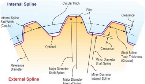 Involute profile in splines (1) | GrabCAD Tutorials