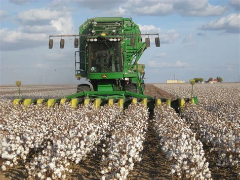 About Cotton - The Cottton Project